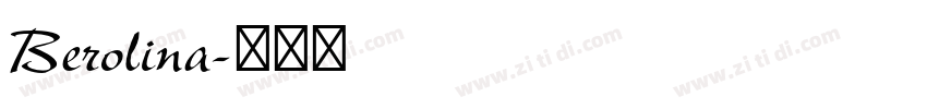 Berolina字体转换