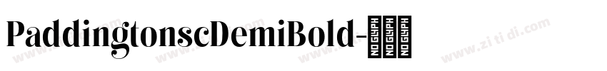 PaddingtonscDemiBold字体转换