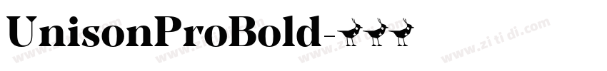 UnisonProBold字体转换 UnisonProBold字体转换