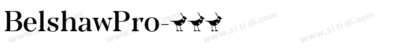 BelshawPro字体转换