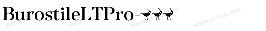 BurostileLTPro字体转换