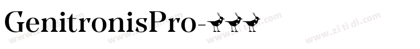 GenitronisPro字体转换
