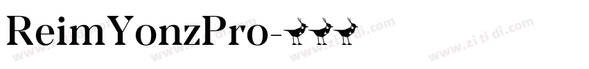 ReimYonzPro字体转换