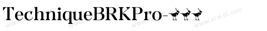 TechniqueBRKPro字体转换