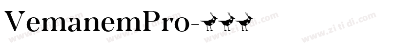 VemanemPro字体转换