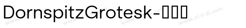 DornspitzGrotesk字体转换