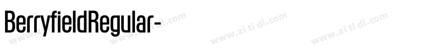 BerryfieldRegular字体转换 BerryfieldRegular字体转换