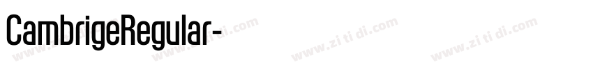 CambrigeRegular字体转换 CambrigeRegular字体转换