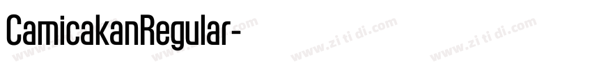 CamicakanRegular字体转换 CamicakanRegular字体转换