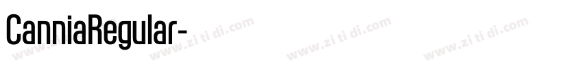 CanniaRegular字体转换