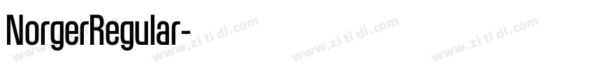 NorgerRegular字体转换 NorgerRegular字体转换