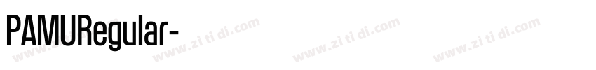 PAMURegular字体转换 PAMURegular字体转换