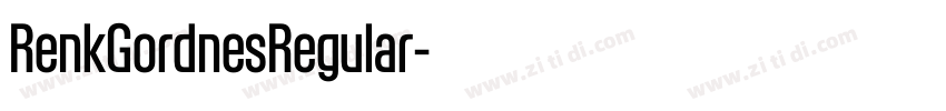 RenkGordnesRegular字体转换 RenkGordnesRegular字体转换