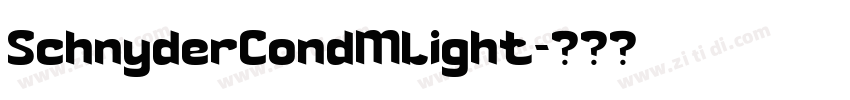 SchnyderCondMLight字体转换 SchnyderCondMLight字体转换