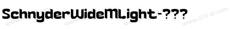 SchnyderWideMLight字体转换