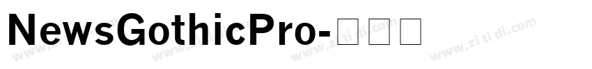 NewsGothicPro字体转换