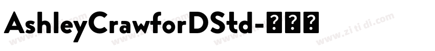 AshleyCrawforDStd字体转换