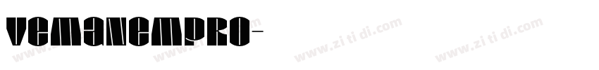 VemanemPro字体转换