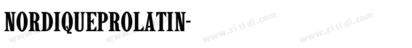 NordiqueProLatin字体转换