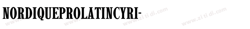 NordiqueProLatinCyri字体转换