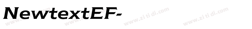 NewtextEF字体转换