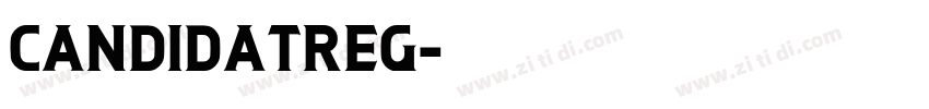 CandidaTReg字体转换