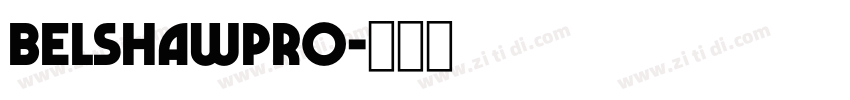 BelshawPro字体转换