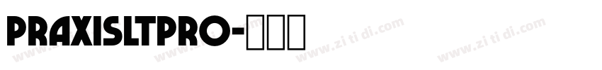 PraxisLTPro字体转换