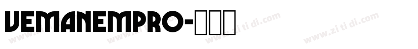 VemanemPro字体转换
