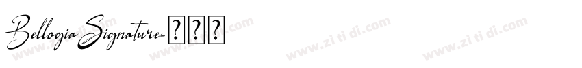 BellogiaSignature字体转换