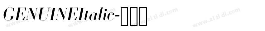 GENUINEItalic字体转换 GENUINEItalic字体转换