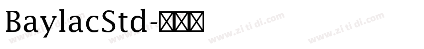 BaylacStd字体转换