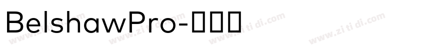 BelshawPro字体转换