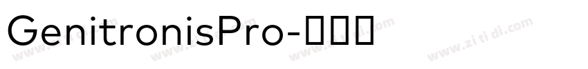GenitronisPro字体转换