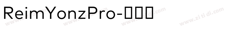 ReimYonzPro字体转换