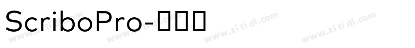ScriboPro字体转换