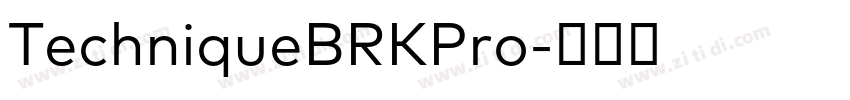 TechniqueBRKPro字体转换