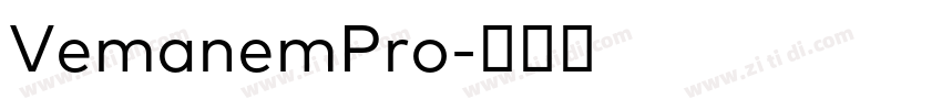 VemanemPro字体转换