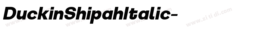 DuckinShipahItalic字体转换