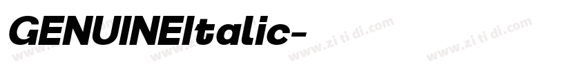 GENUINEItalic字体转换 GENUINEItalic字体转换