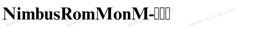 NimbusRomMonM字体转换