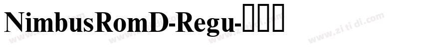 NimbusRomD-Regu字体转换