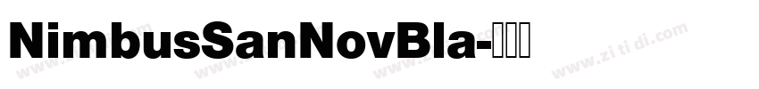 NimbusSanNovBla字体转换