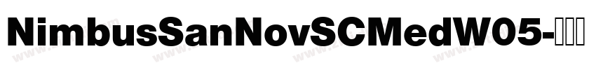NimbusSanNovSCMedW05字体转换