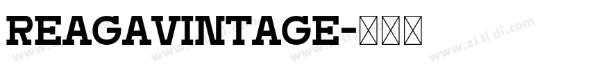 ReagaVintage字体转换
