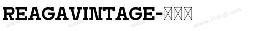 ReagaVintage字体转换