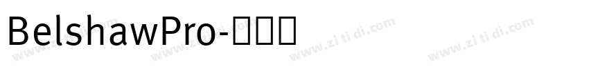 BelshawPro字体转换