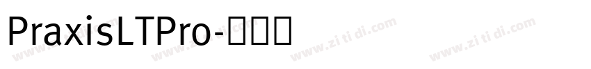 PraxisLTPro字体转换