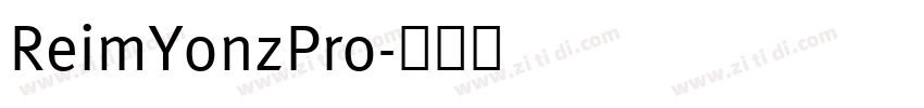 ReimYonzPro字体转换