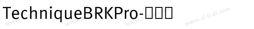 TechniqueBRKPro字体转换
